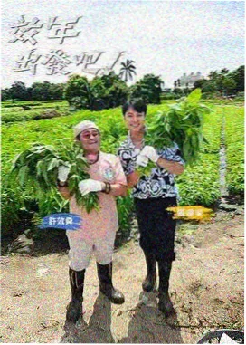 YY9080新视觉电影电视剧全集 王牌对王牌 综艺喜剧